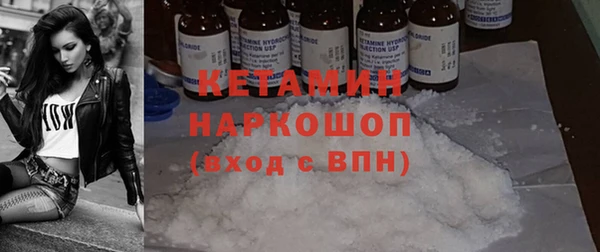шишки Коряжма
