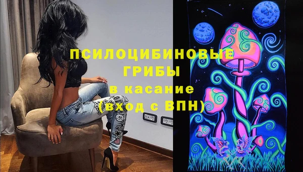 шишки Коряжма