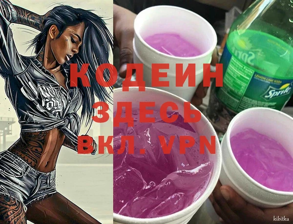 шишки Коряжма