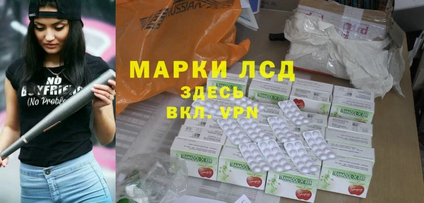 шишки Коряжма