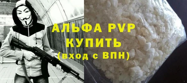 шишки Коряжма